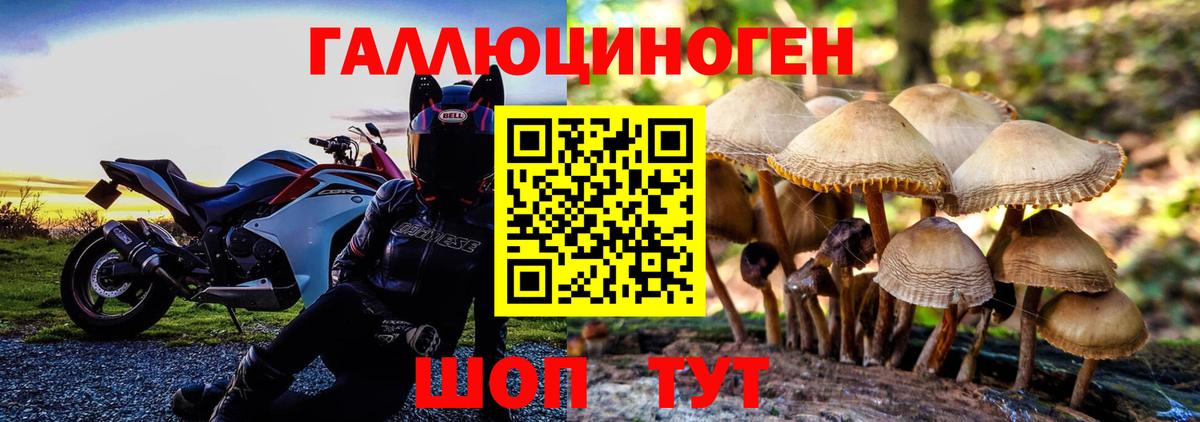 Галлюциногенные грибы MAGIC MUSHROOMS  Вход с VPN  как найти наркотики  Дедовск 